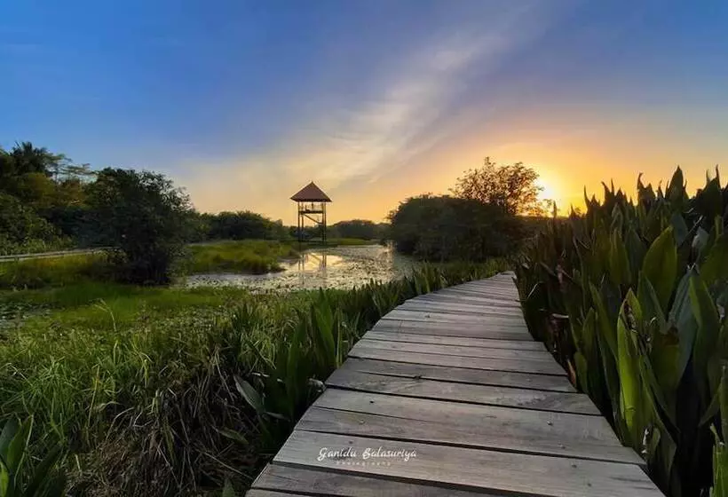 هتل Colombo Tree House