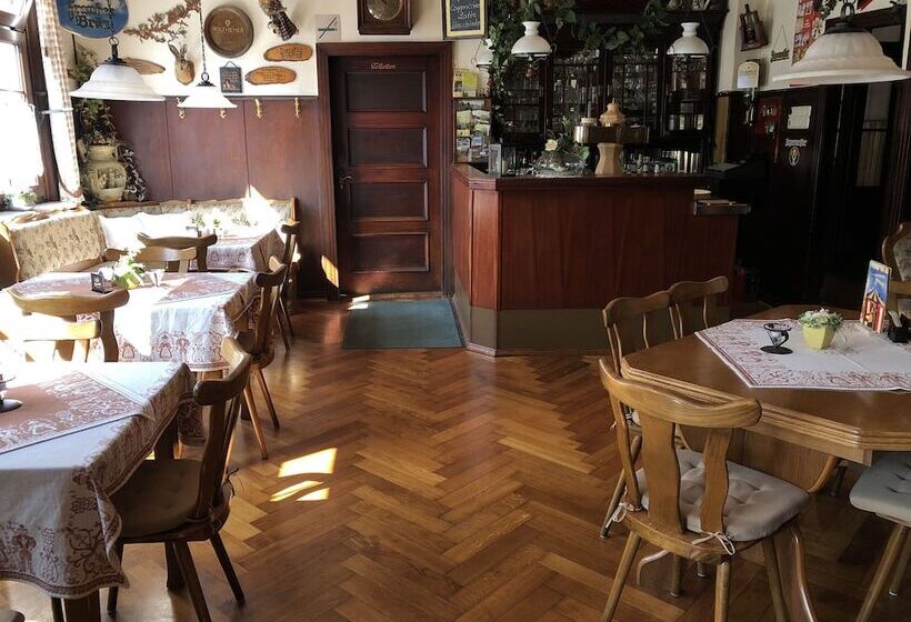 Отель Gansthof Pension Meurastein