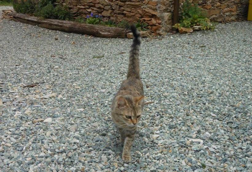 Сельский отель Le Lasarde