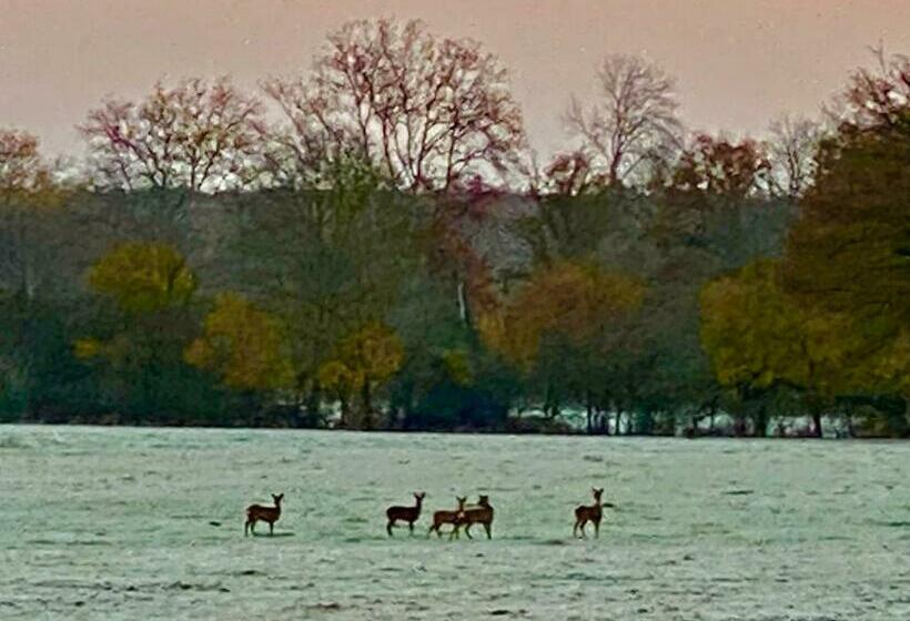 بنسيون B&b Château De Preuil
