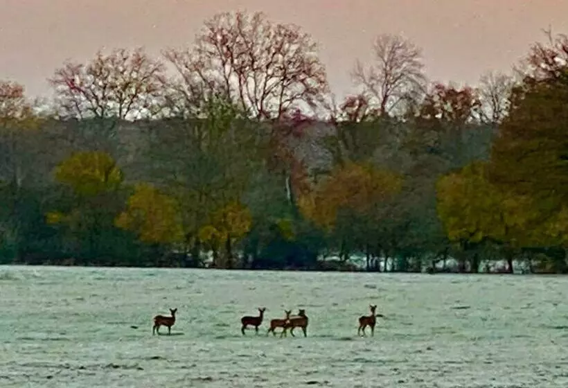 Majatalo B&b Château De Preuil