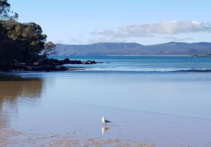 Majatalo Hawley Beachside Accommodation