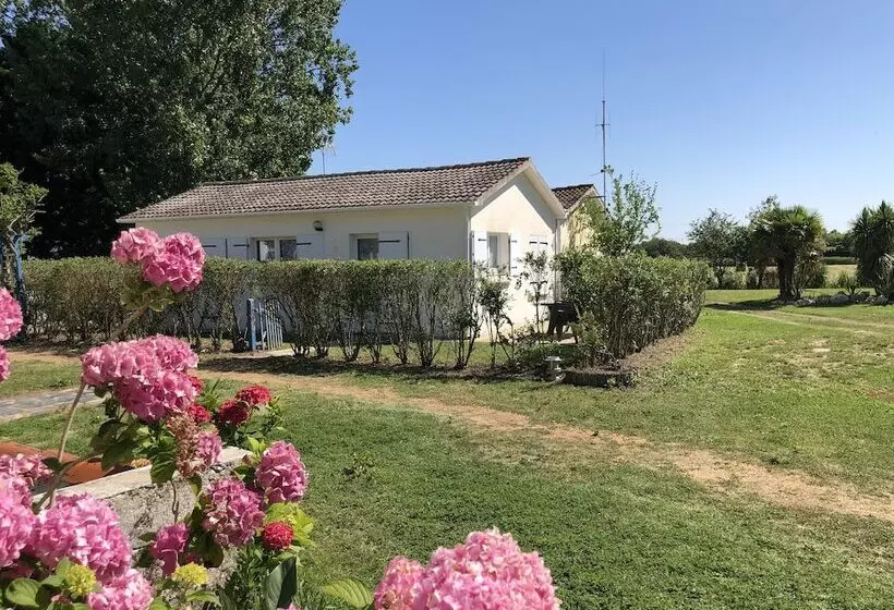 Lomakeskus Les Gites De Montmartre