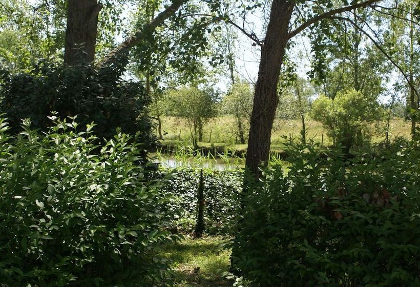 渡假胜地  Les Gites De Montmartre