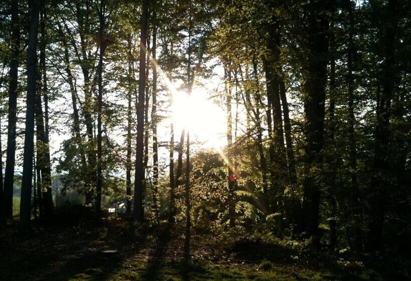 Waldpension Schiefling Am See