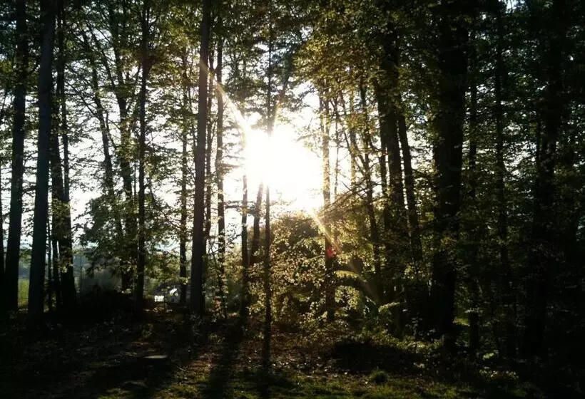 Waldpension Schiefling Am See