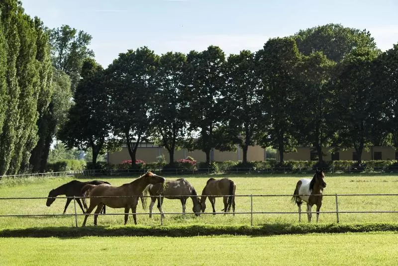 Agriturismo Tenuta  Il Cigno