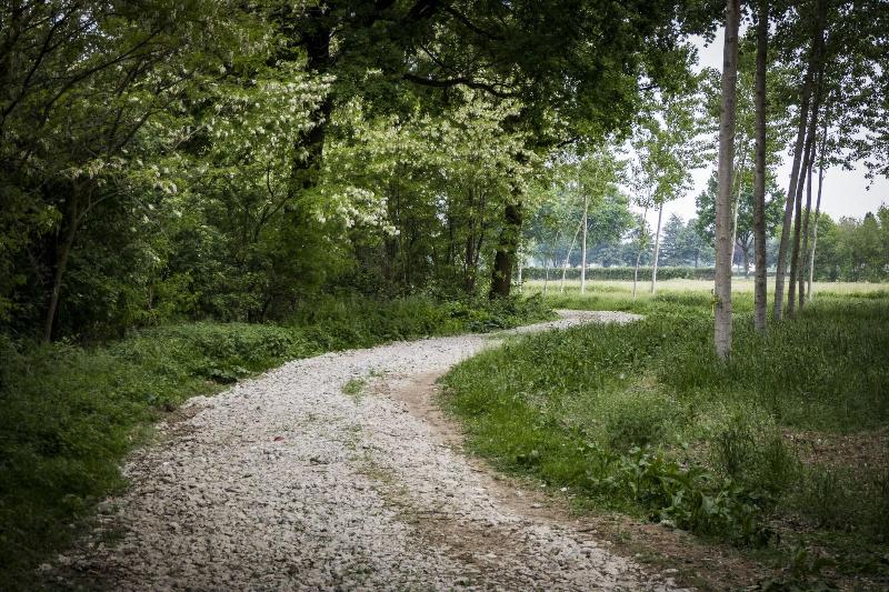 Agriturismo Tenuta Il Cigno