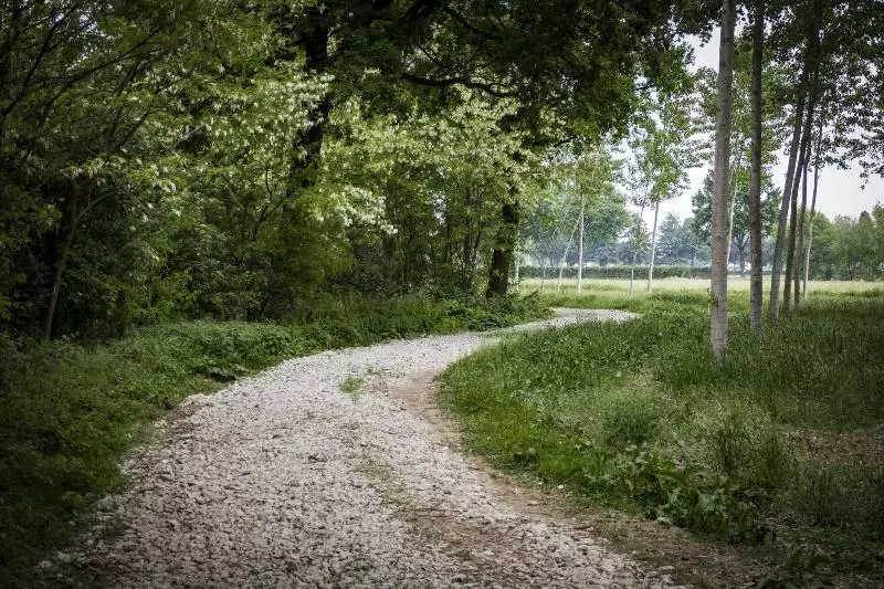 Agriturismo Tenuta  Il Cigno