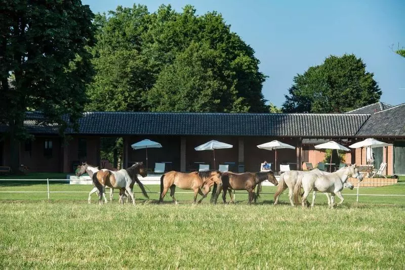 Agriturismo Tenuta  Il Cigno