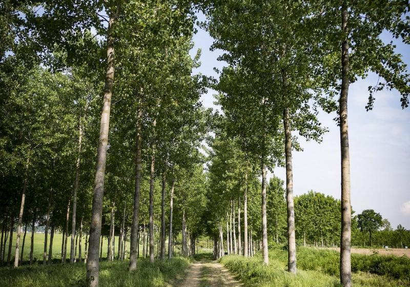 Agriturismo Tenuta Il Cigno