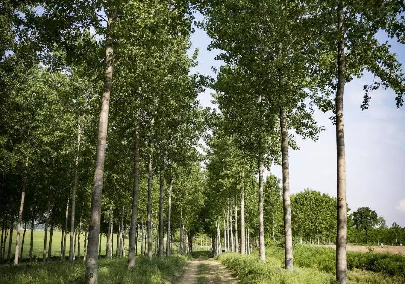 Agriturismo Tenuta  Il Cigno