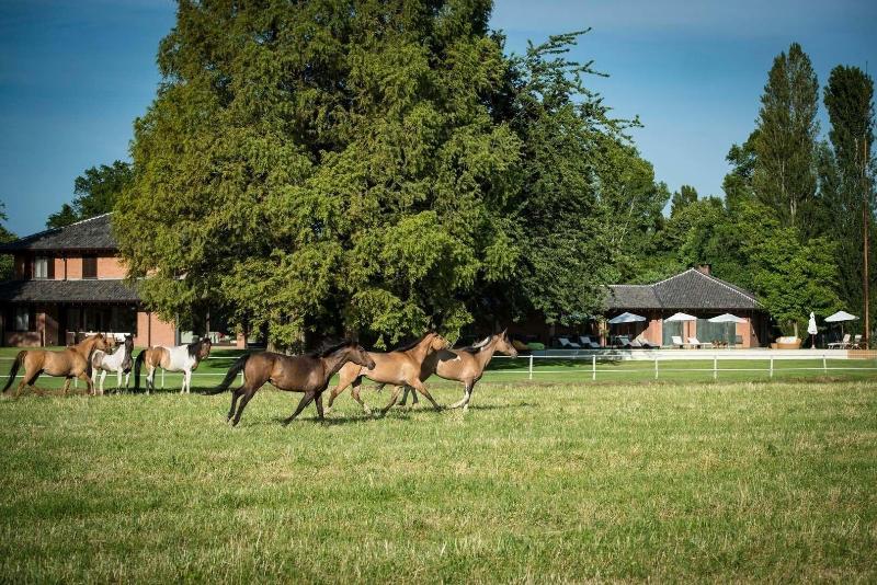 Agriturismo Tenuta Il Cigno