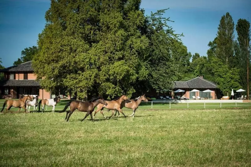 Agriturismo Tenuta  Il Cigno