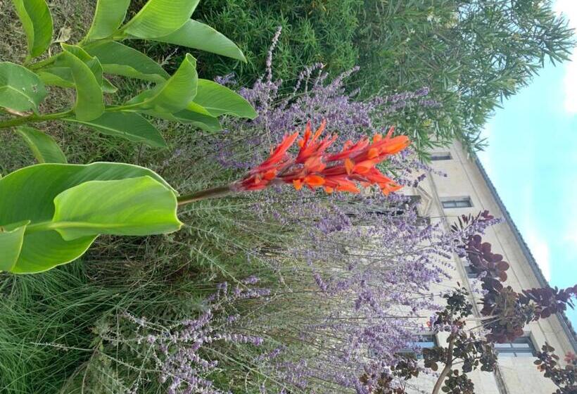 مبيت وإفطار Domaine Terroceane