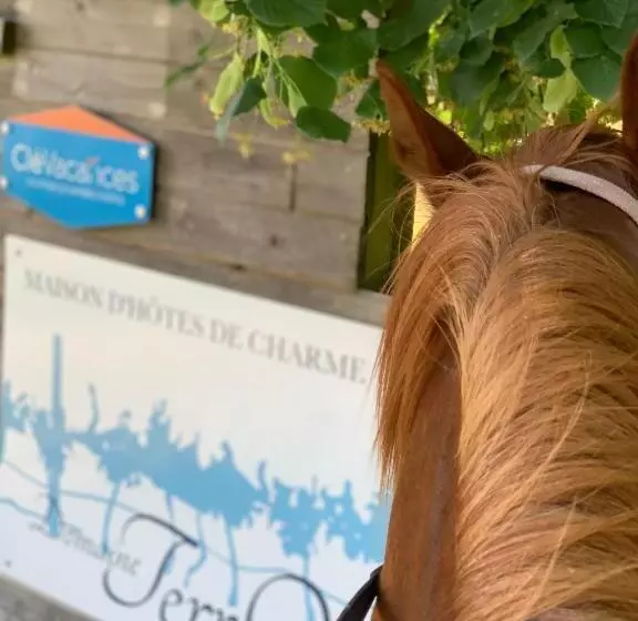 Aamiaismajoitus (B&B) Domaine Terroceane