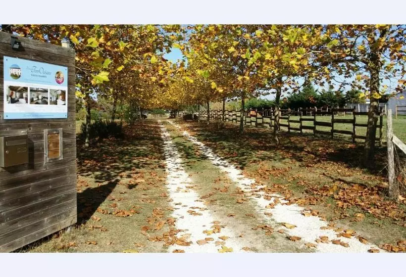 Aamiaismajoitus (B&B) Domaine Terroceane