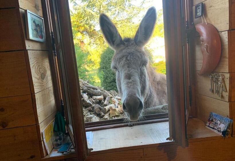 مبيت وإفطار Domaine Terroceane