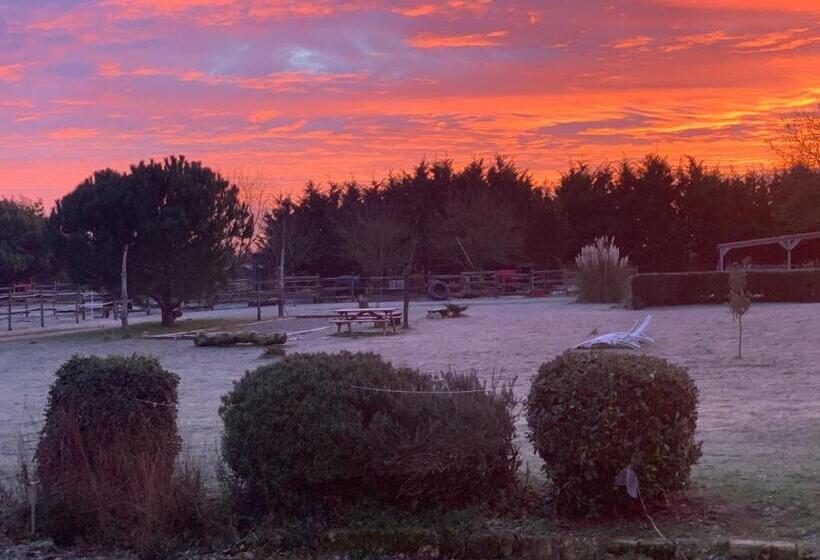 مبيت وإفطار Domaine Terroceane