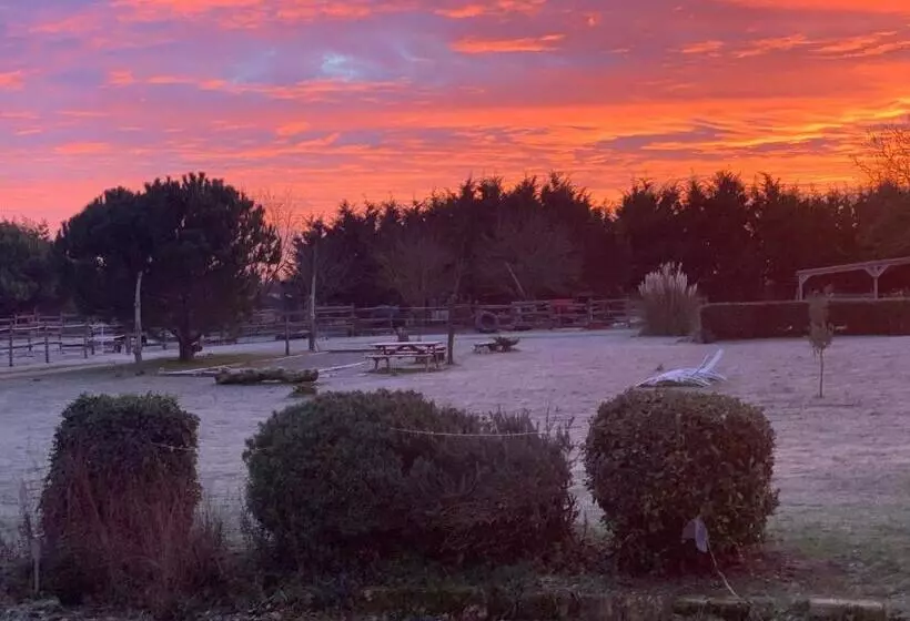 Aamiaismajoitus (B&B) Domaine Terroceane