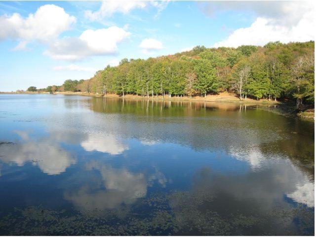 Bed and Breakfast La Tela Di Penelope