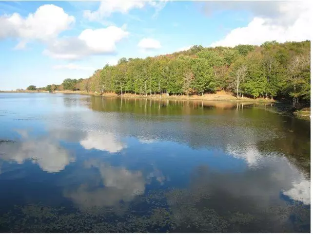 ベッドアンドブレックファースト La Tela Di Penelope