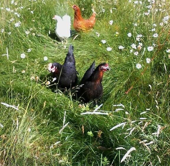 민박 L Autre Monde