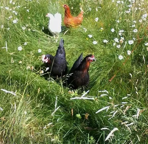 ベッドアンドブレックファースト L Autre Monde