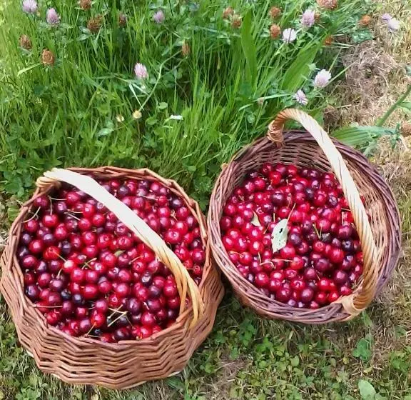 ベッドアンドブレックファースト L Autre Monde