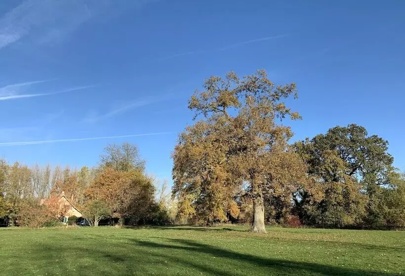 تختخواب و صبحانه Manoir De Bois En Ardres