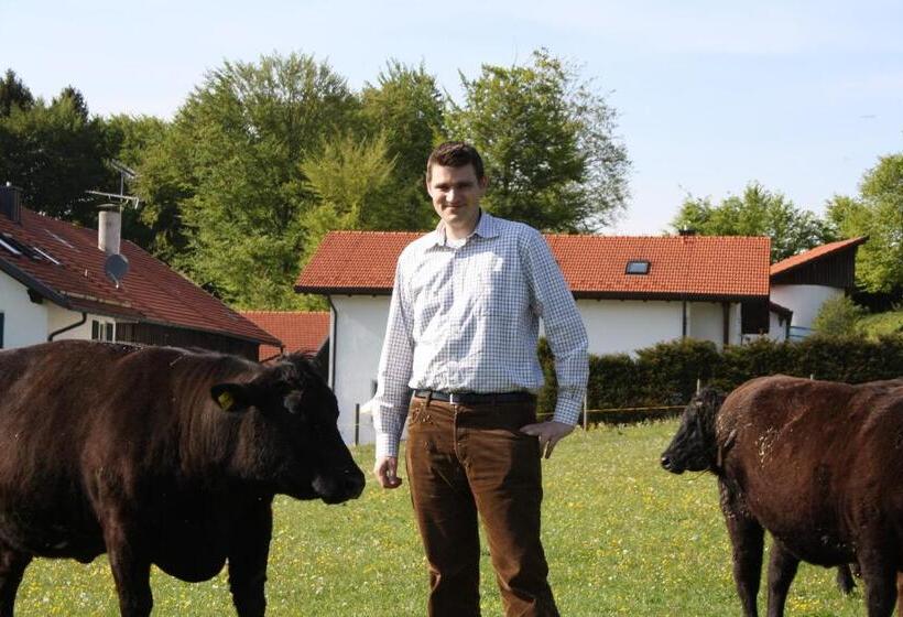 Отель Der Obere Wirt Zum Queri