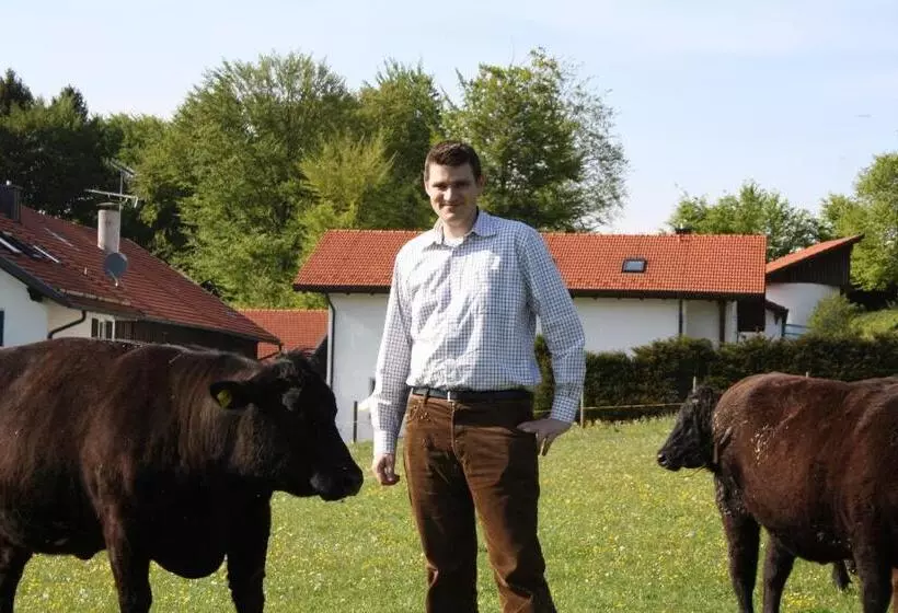 Hotelli Der Obere Wirt Zum Queri