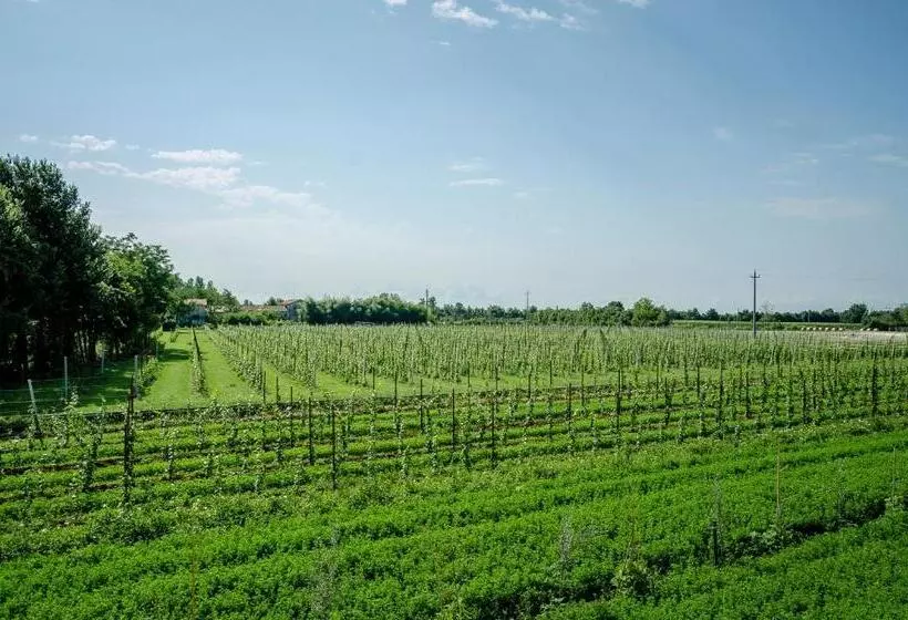 田舎風ホテル Alloggi Agrituristici Le Vignole