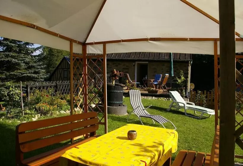 Idyllic Studio Near Forest