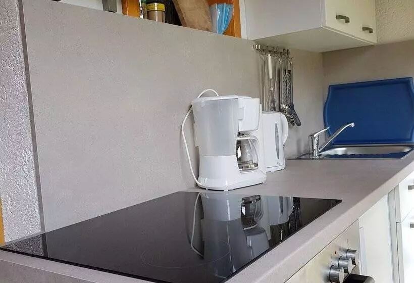 Idyllic Studio Near Forest