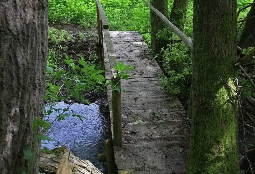 Idyllic Studio Near Forest