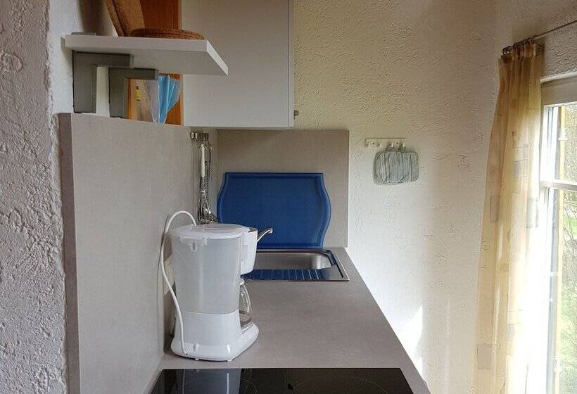 Idyllic Studio Near Forest