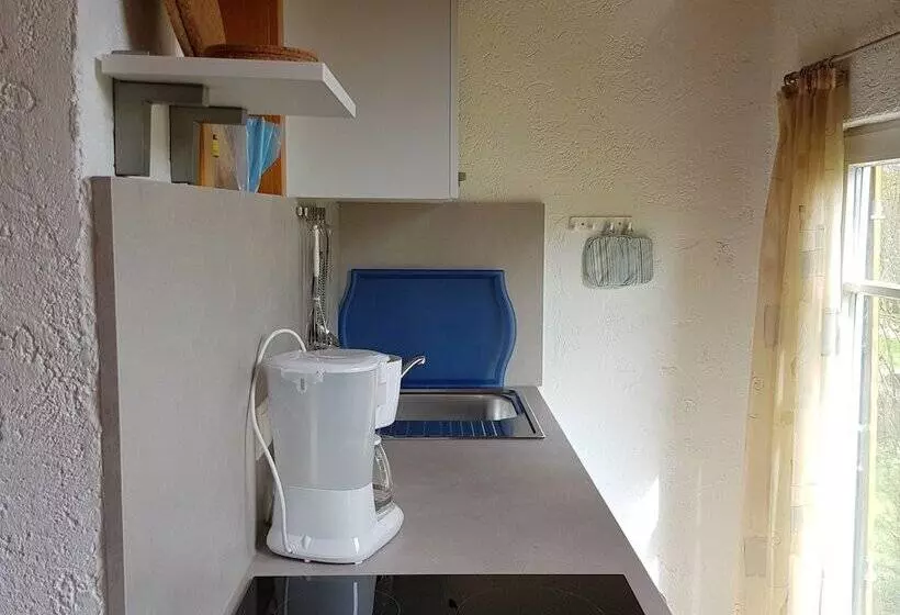 Idyllic Studio Near Forest