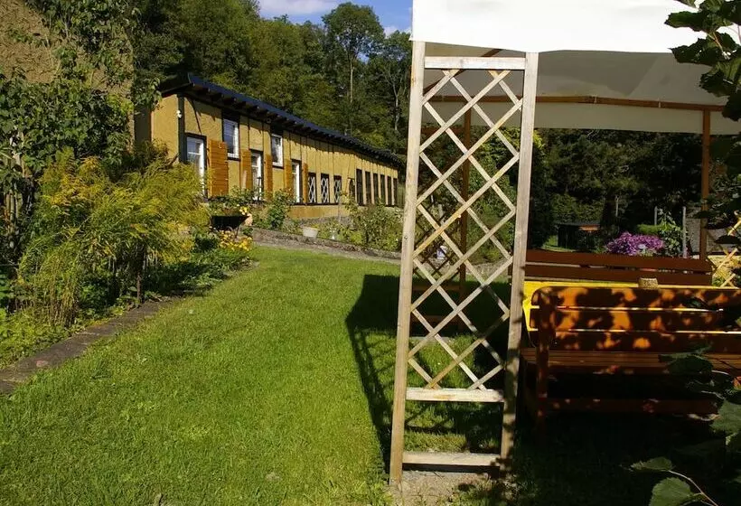 Idyllic Studio Near Forest