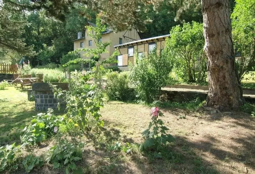 Idyllic Studio Near Forest