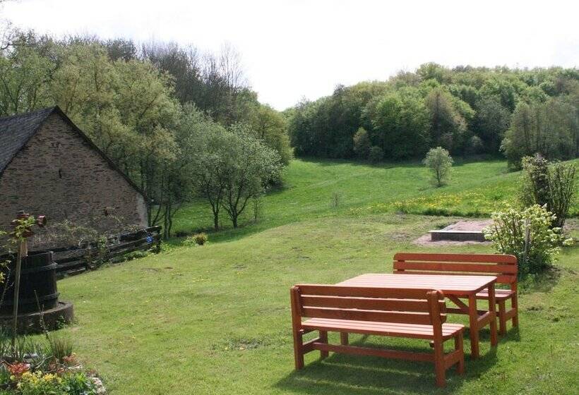 Idyllic Studio Near Forest