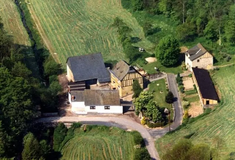 Idyllic Studio Near Forest