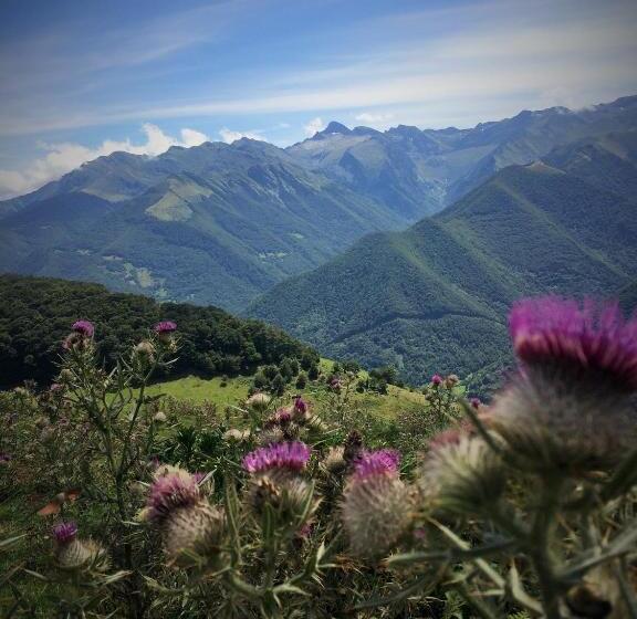 بنسيون Au Détour Du Larrech