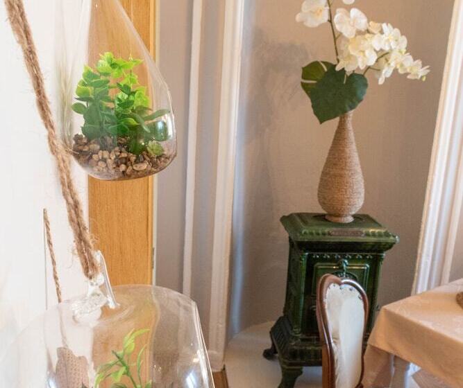 بنسيون La Fee Maison