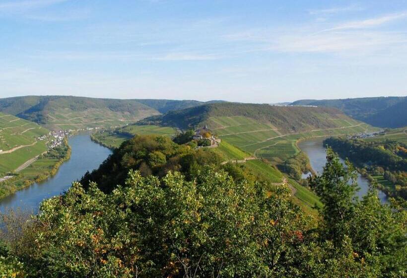 פנסיון Weingut Goeres