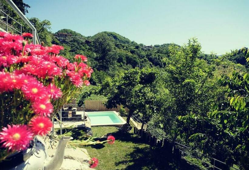 مبيت وإفطار Ca Luni