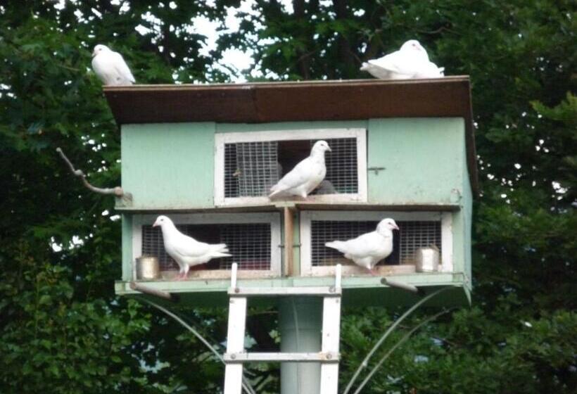 Bed and Breakfast Domaine Vega