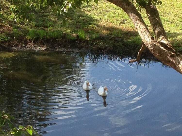 Blue Summit Cottages