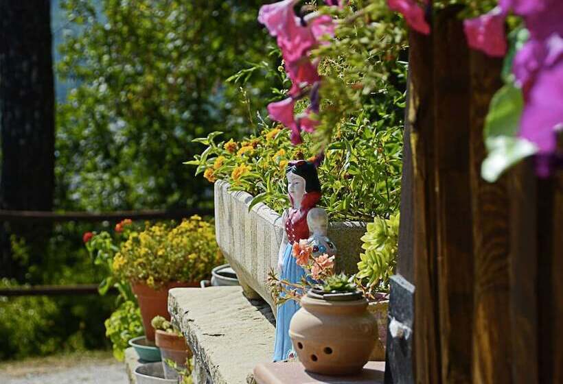 Country Cottage In Marche With Swimming Pool