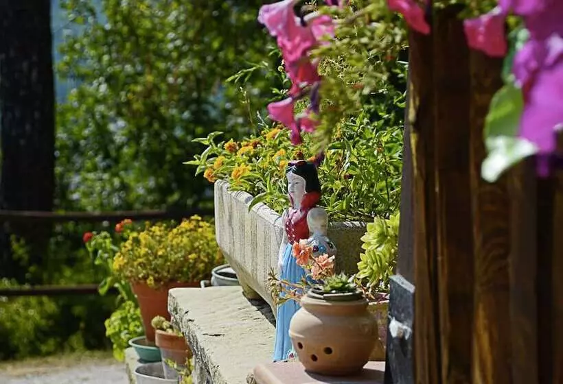 Country Cottage In Marche With Swimming Pool